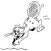 coloriage castor qui plonge dans l eau